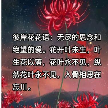ℳঞ彼岸🥨花꧔ꦿ້໌ᮨ࿐（拒绝私