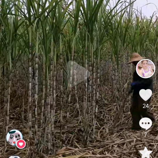 ❤️家和万事兴❤️