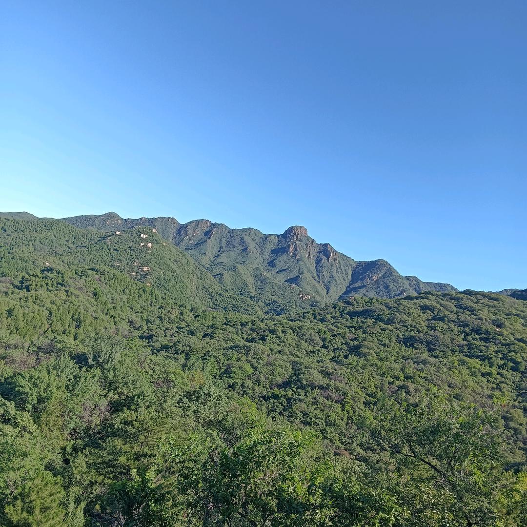 陈