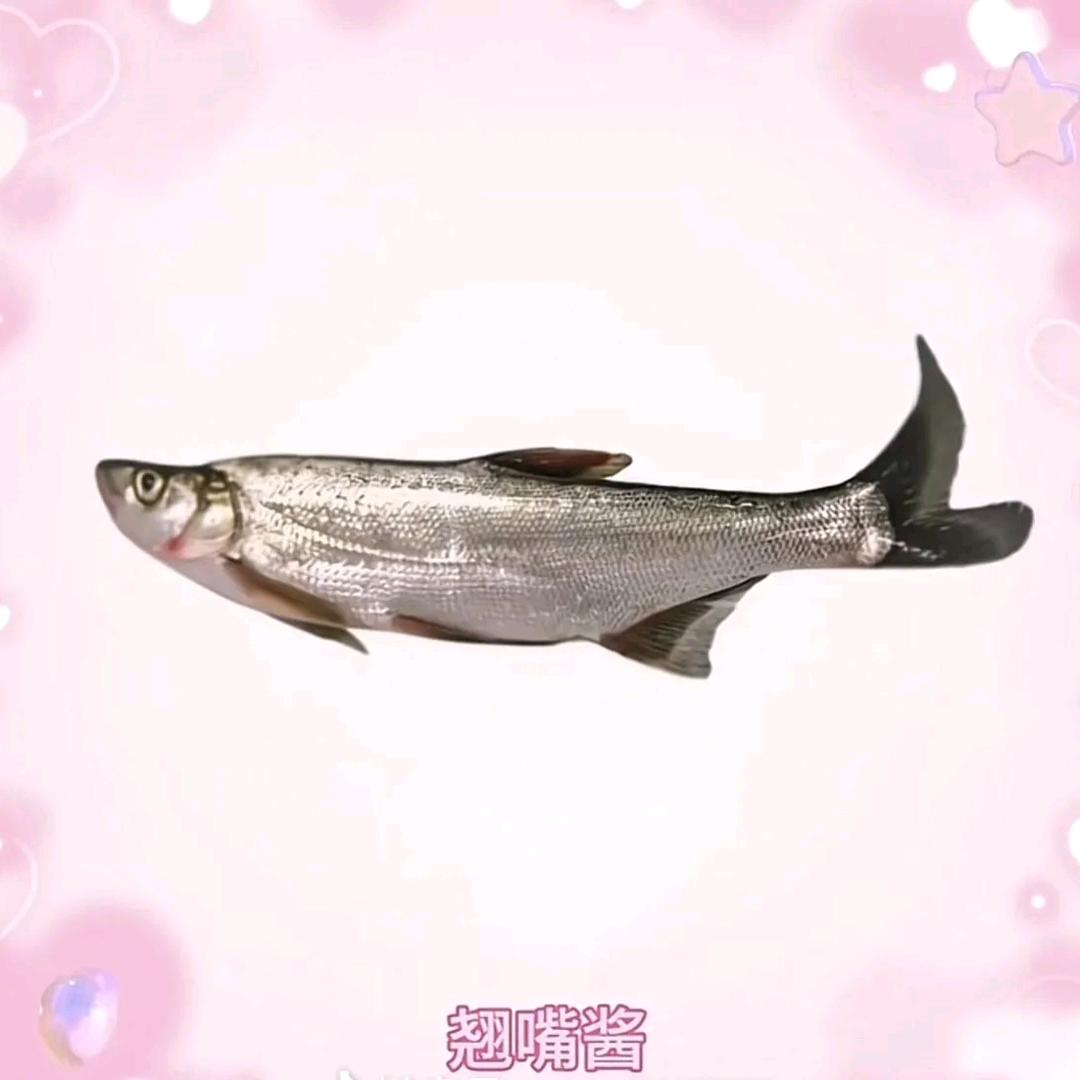 北冰洋深海巨型翘嘴