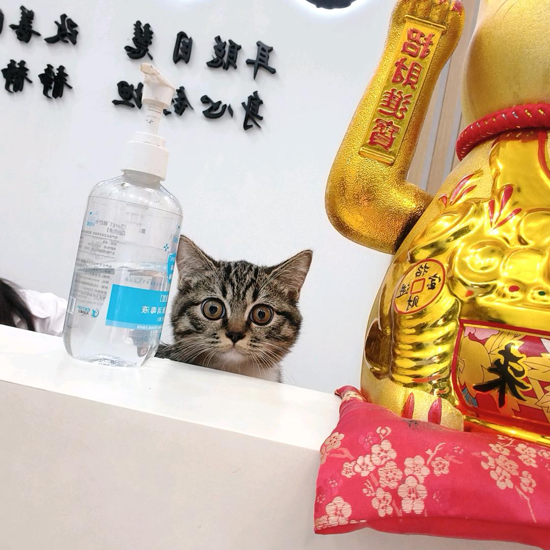 清——