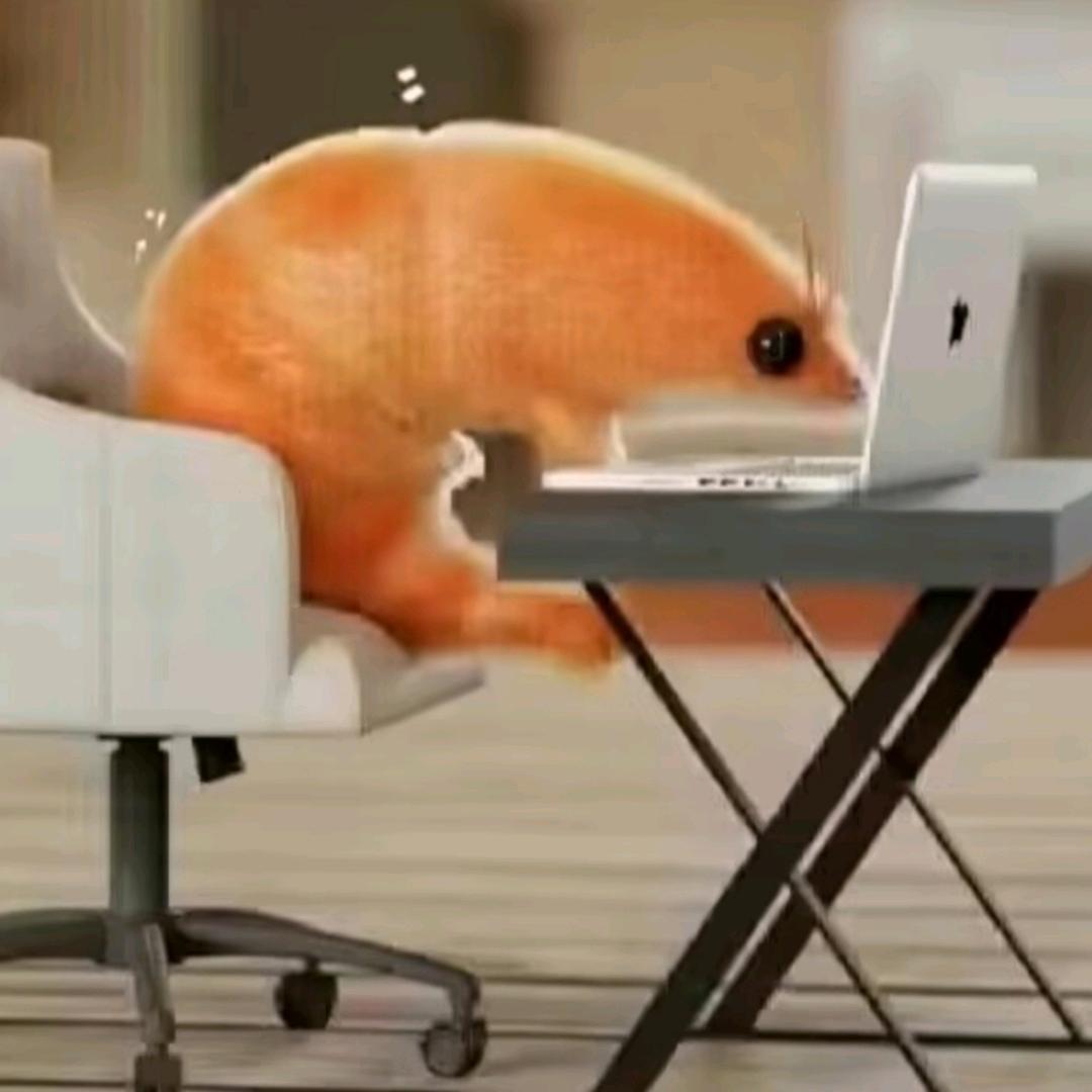 ╲          •᷄ࡇ•᷅小白手套