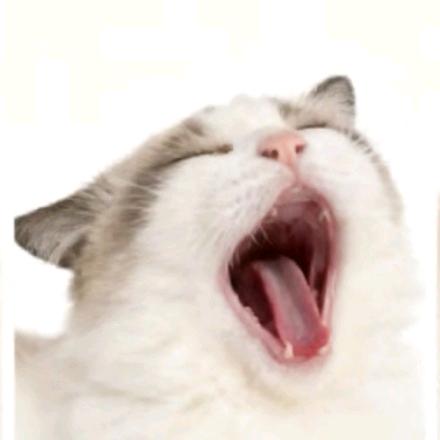 别吃了