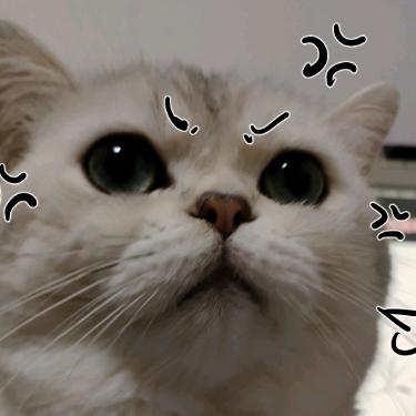 晴虹