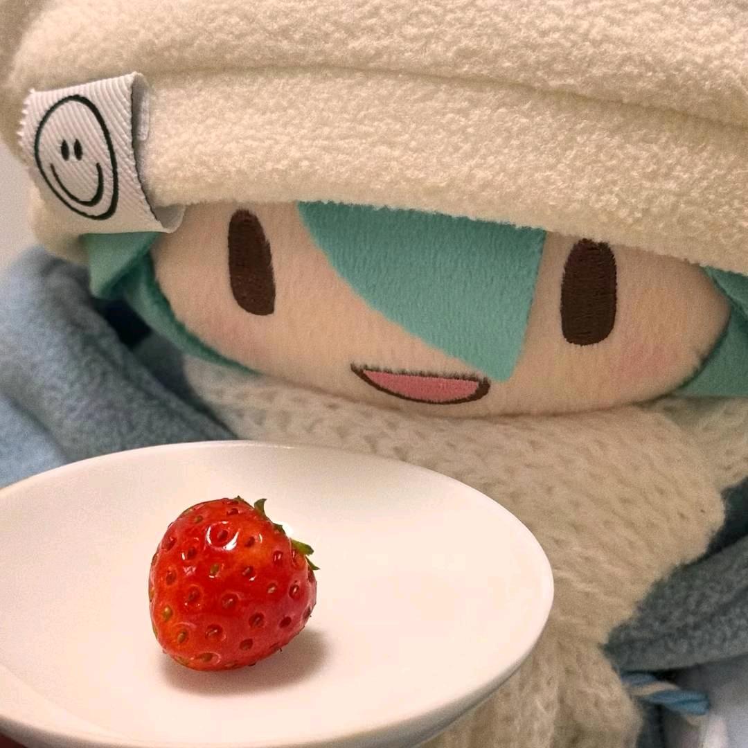儒随枫