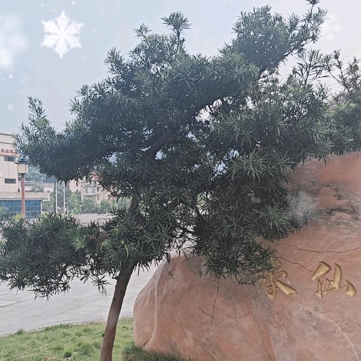 孤独一人