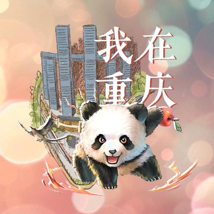 重庆得行❤️熊猫