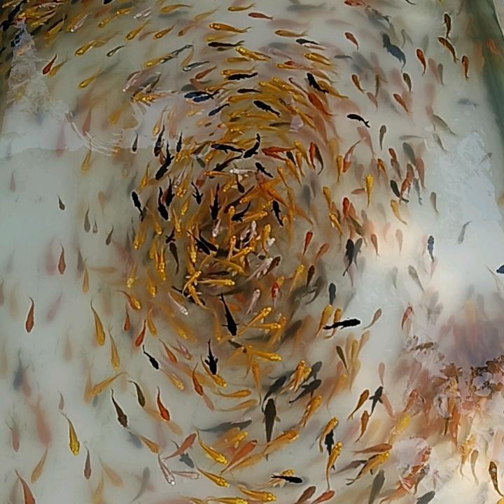 账号已重置