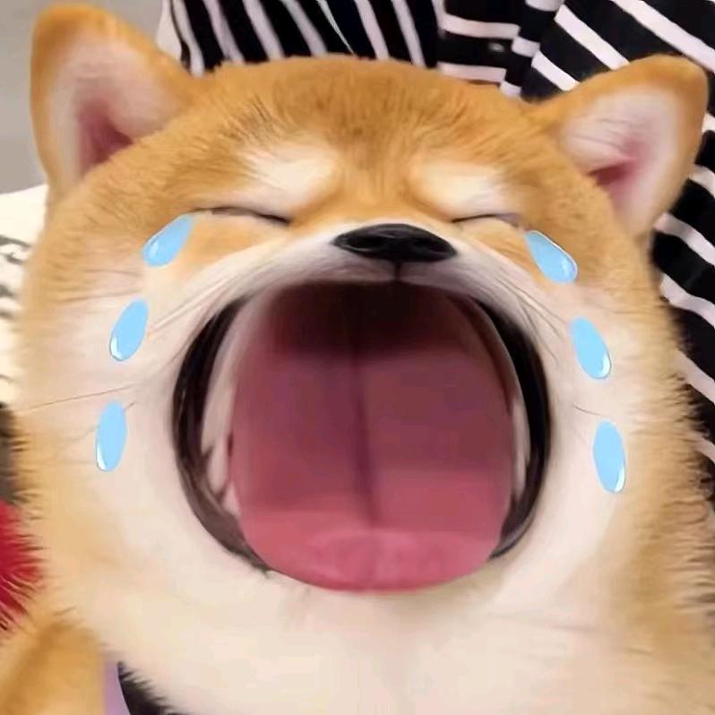 小泽🌹🌹