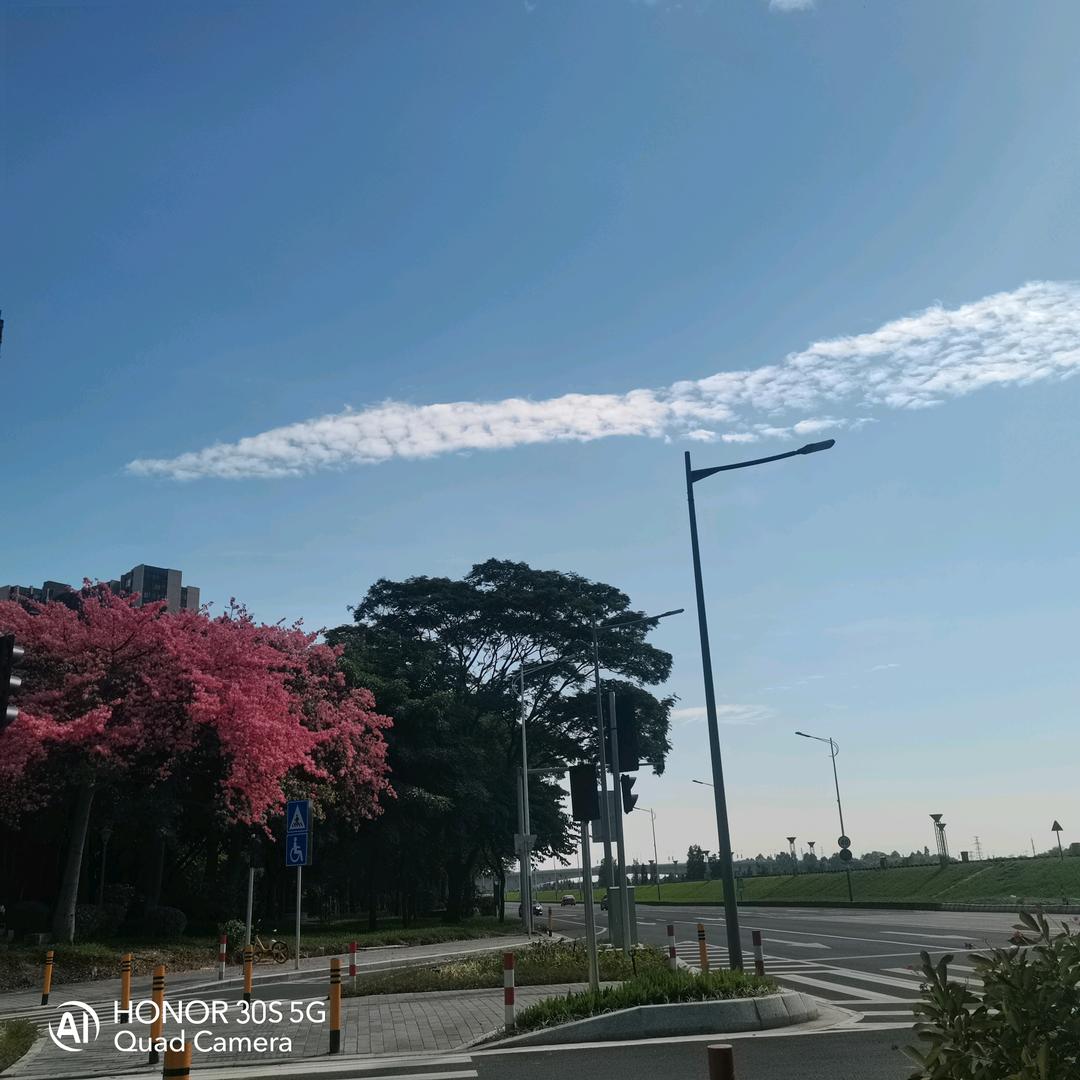 敏颖成