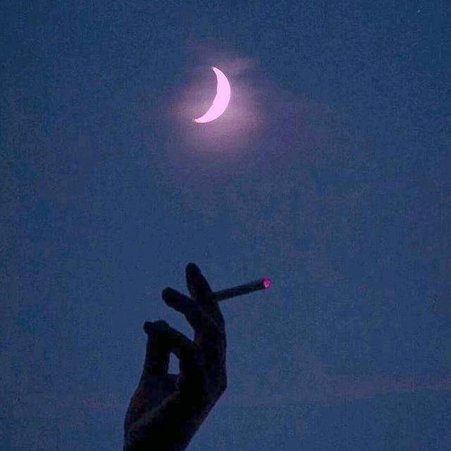 &南风知我意