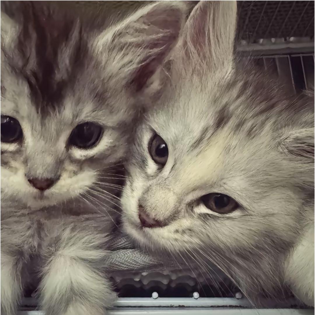 主训这个年上感是极好的ˆㅅˆ