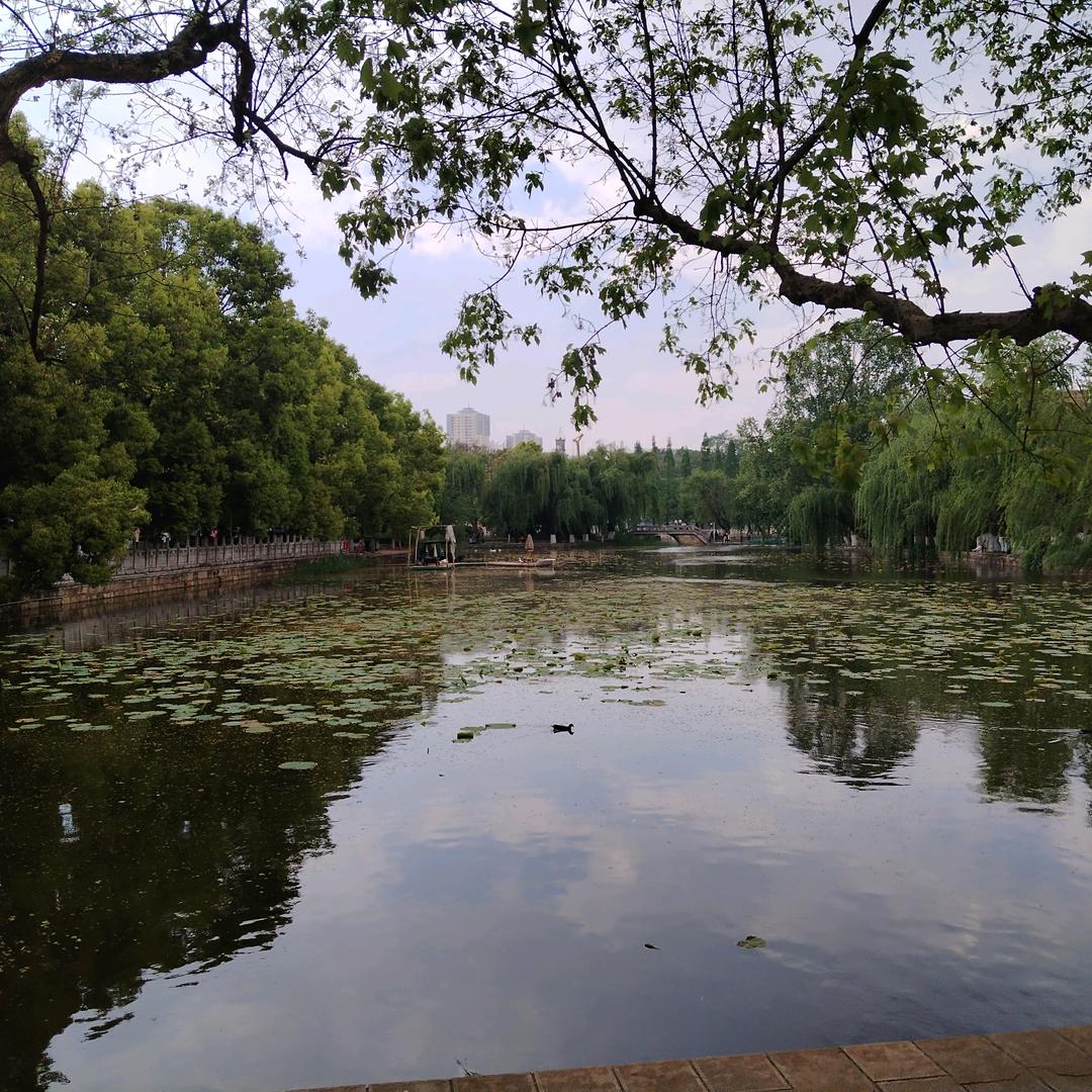 三三两两