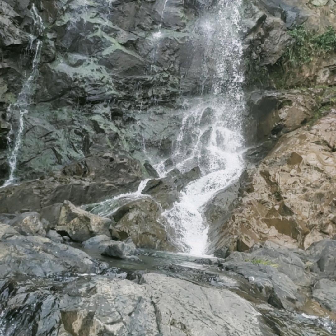 红红