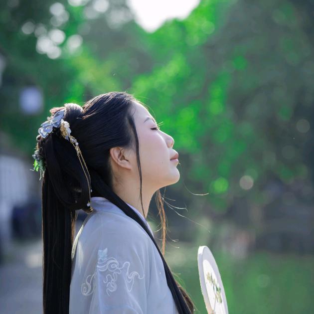 宠王维的贪玩汉服姐姐燕军