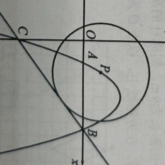 肖数