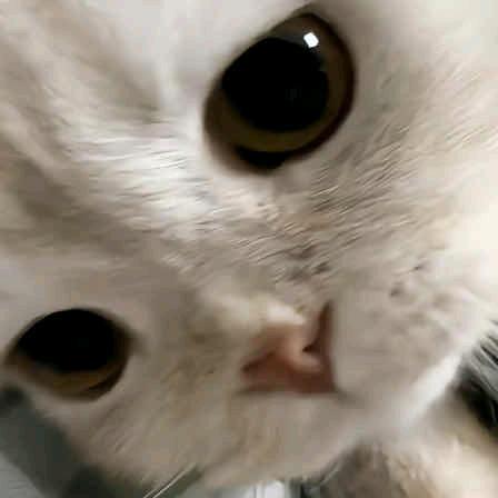 晴儿