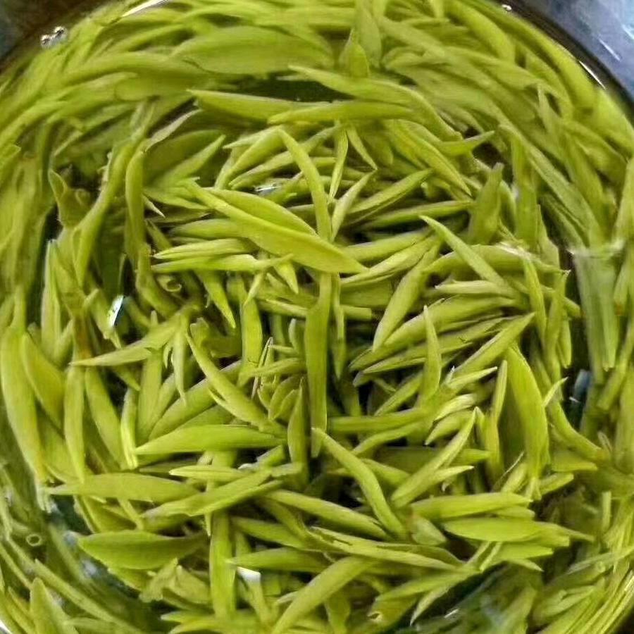 老严茶行