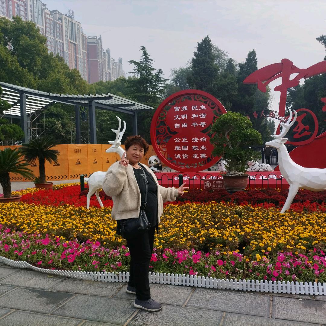 风景如画