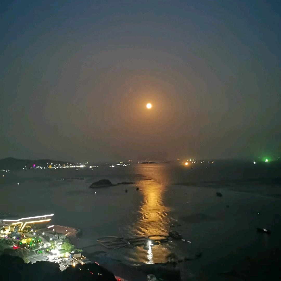 麦兜（郑）