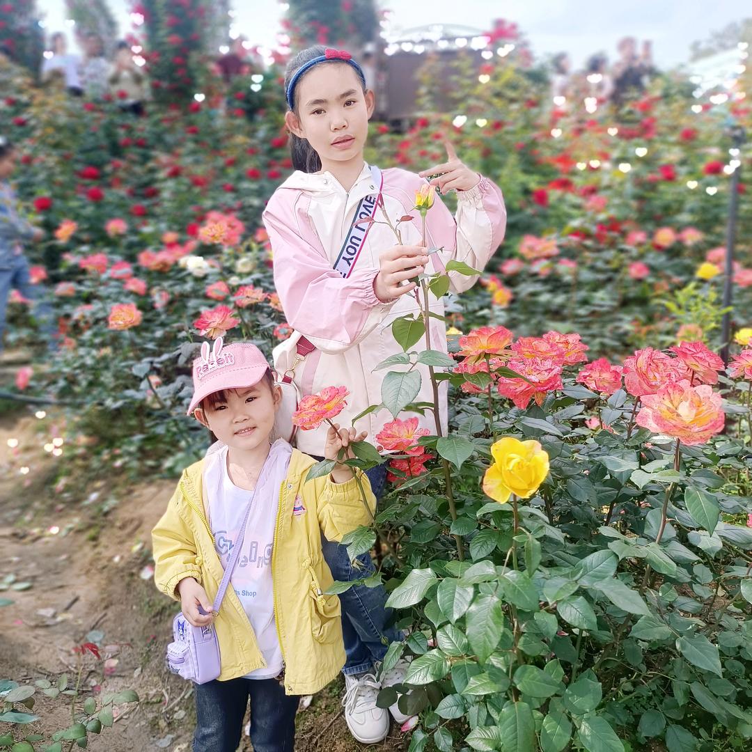 💕️墨烟三色倾人城💕️