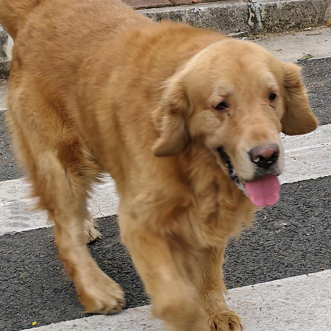 一次冷炭（小号）