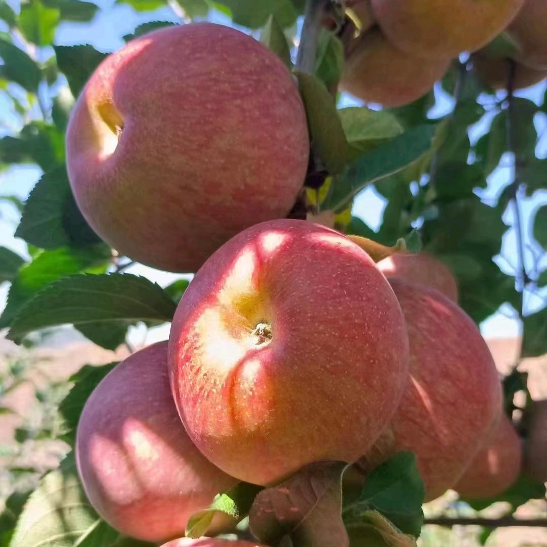 威宁县宇乐种植场