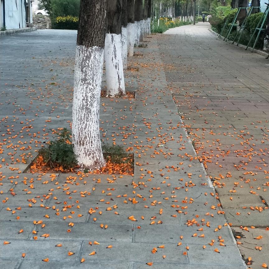 雨露