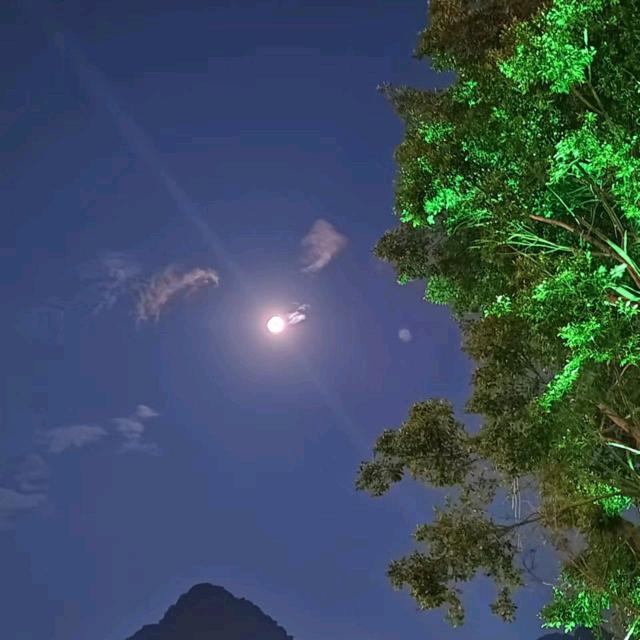 🌴冬日暖阳🌴