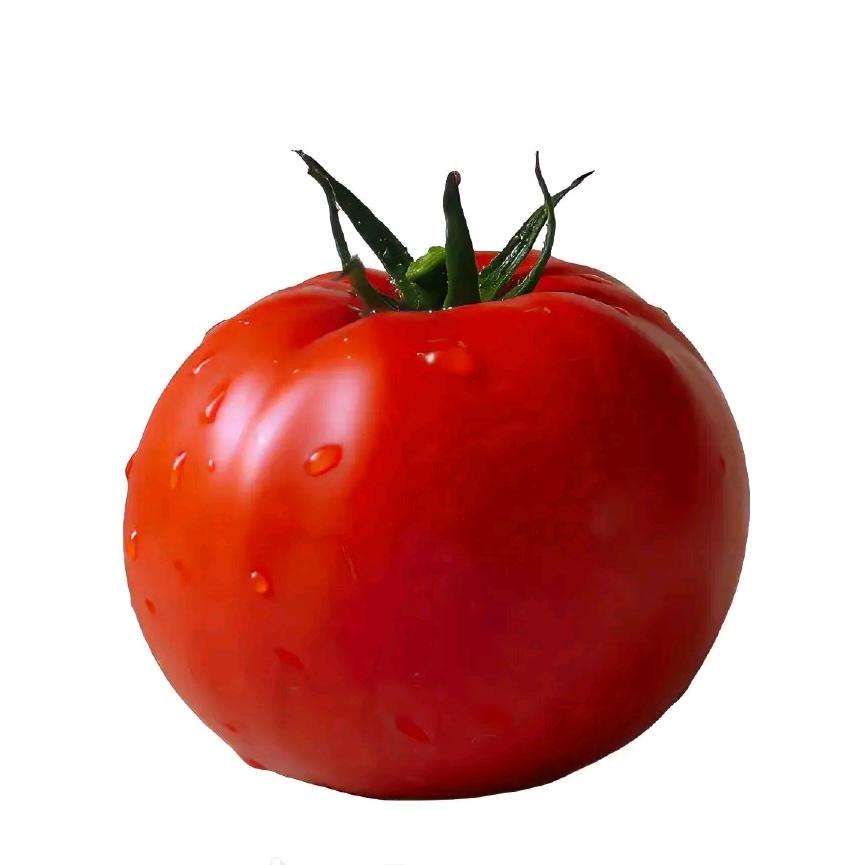 tomato