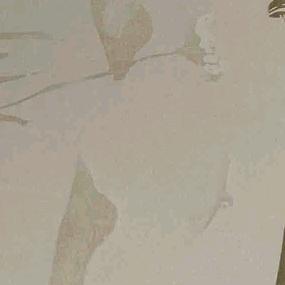 葡萄糖酸钙口服液