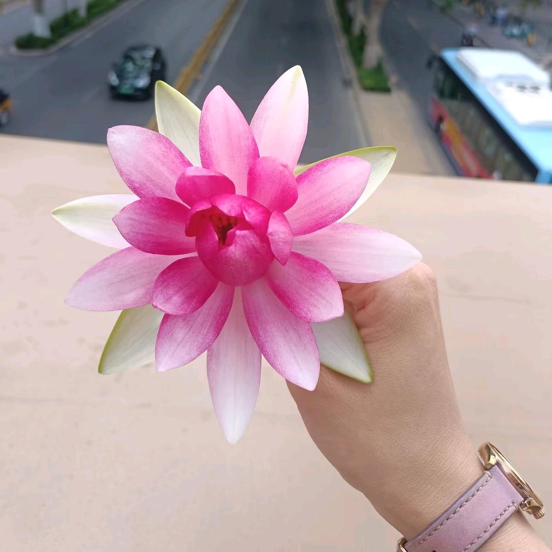 大脸妹