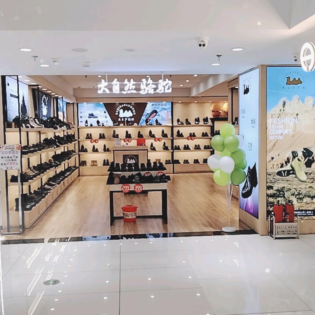 双鸭山一百大自然骆驼