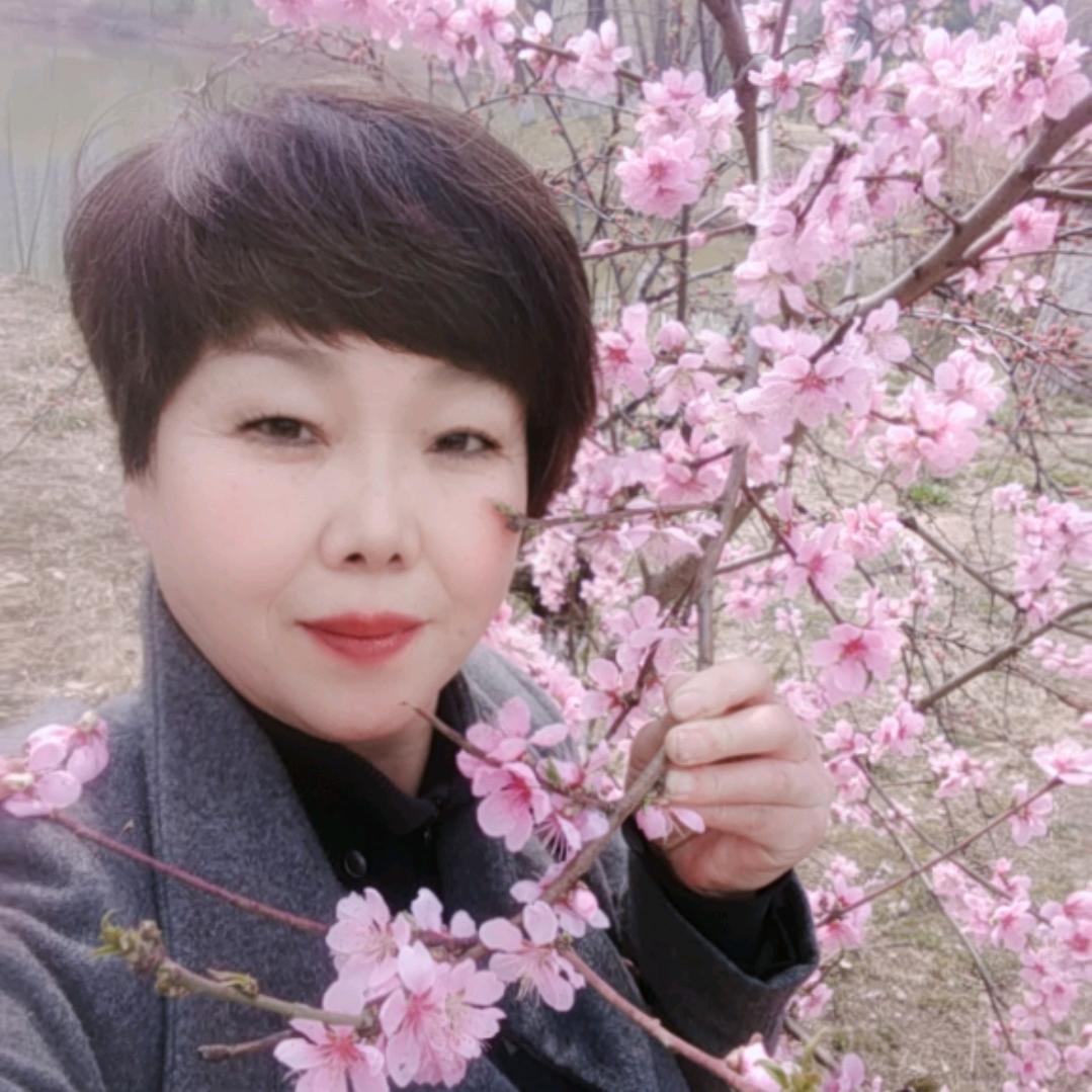 知音在何方？🍀🍀🍀🌻🌻🌻🌻