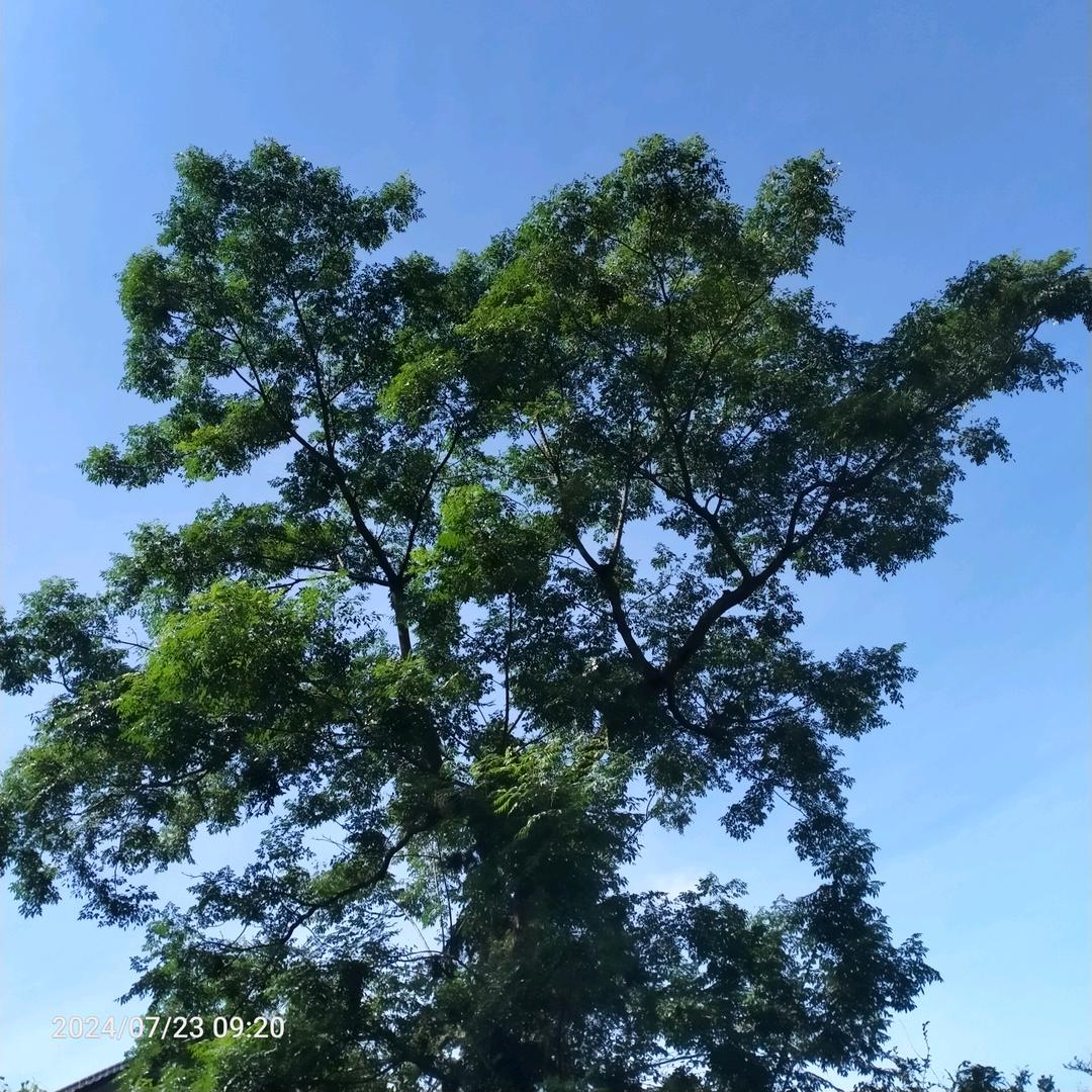 每天好心情