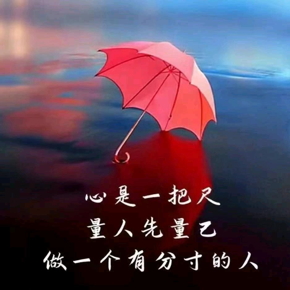 爱跑步的灵儿