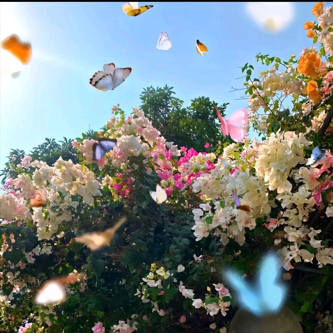 是老师吖（🉑丝）