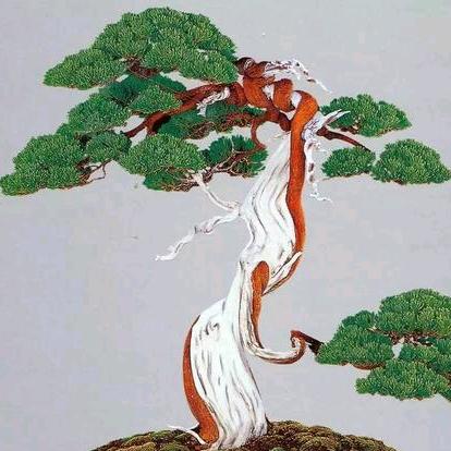 茁壮园艺