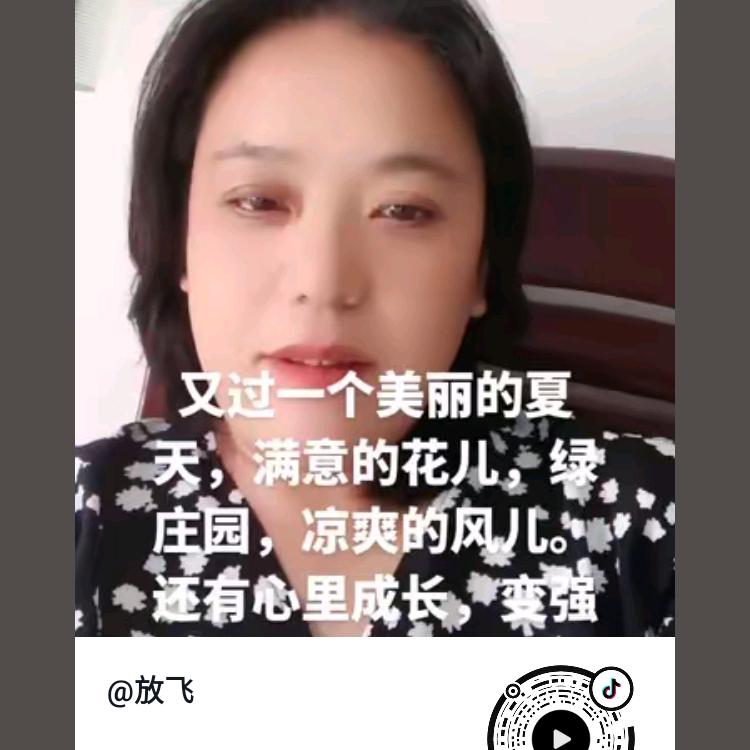 放飞梦想