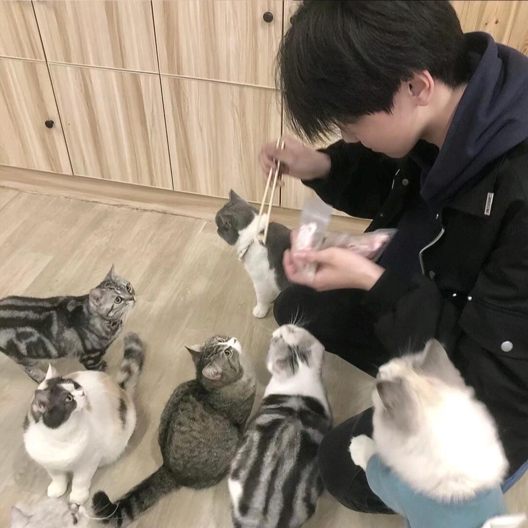 姓程不講陳