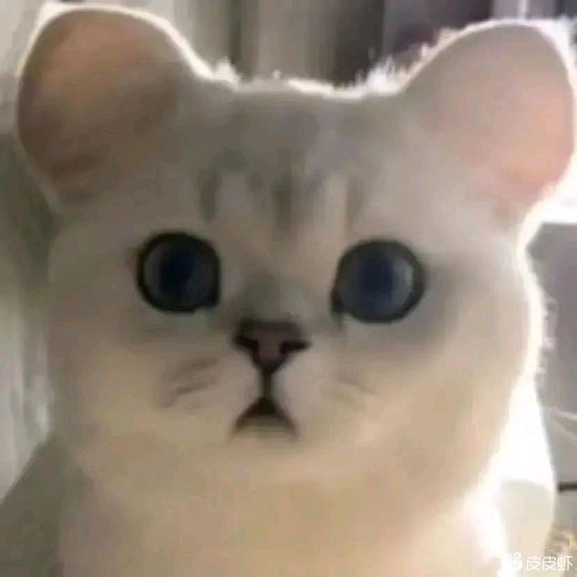 叶落