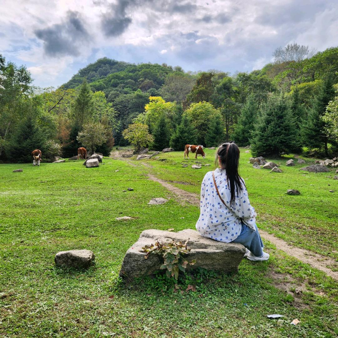 霍格沃兹小饼干🍪