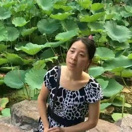 桂桂