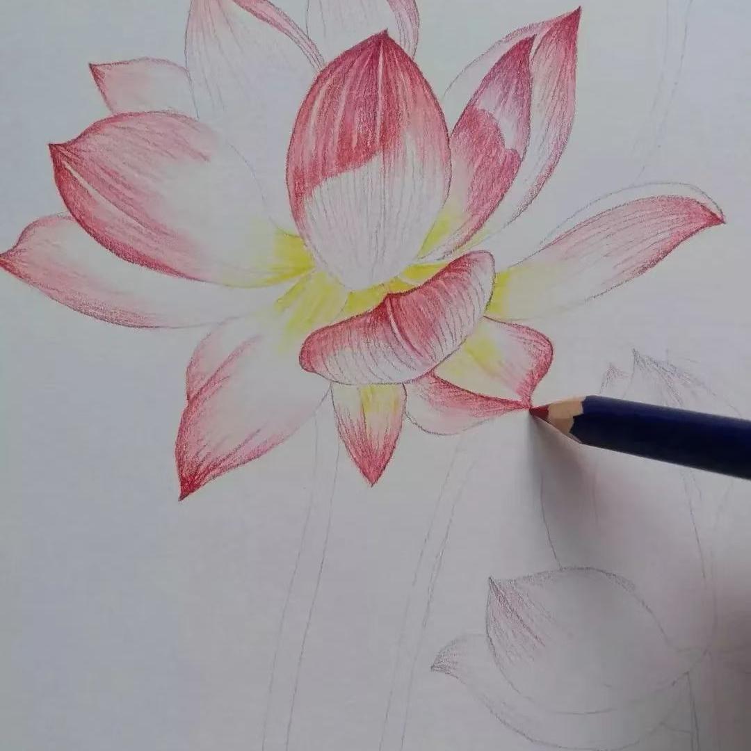 憨憨的思念