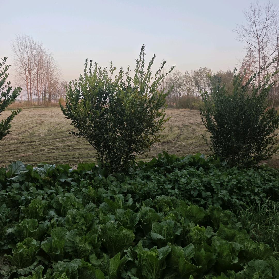 曾师傅收购空调家用电器