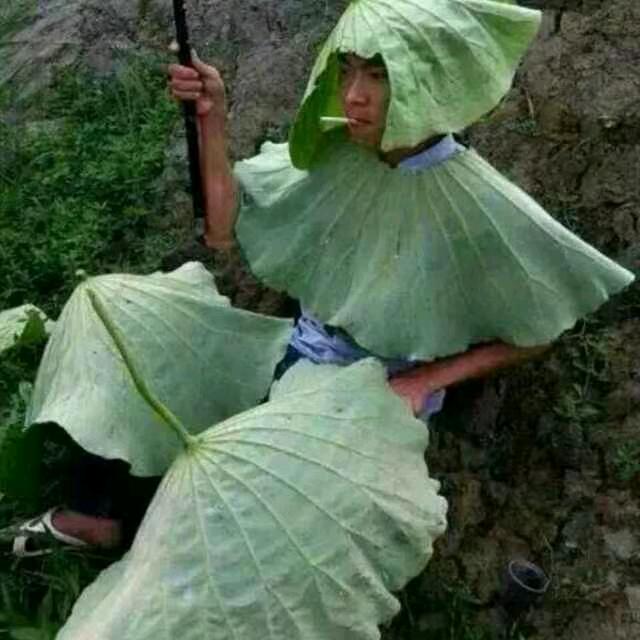 纵横千里独行客。