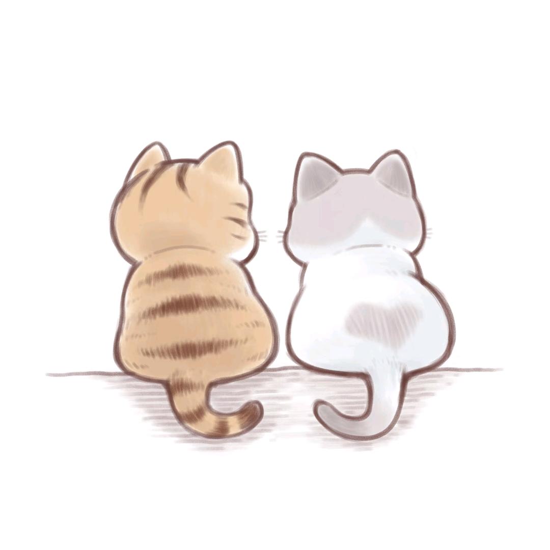 涵晗u