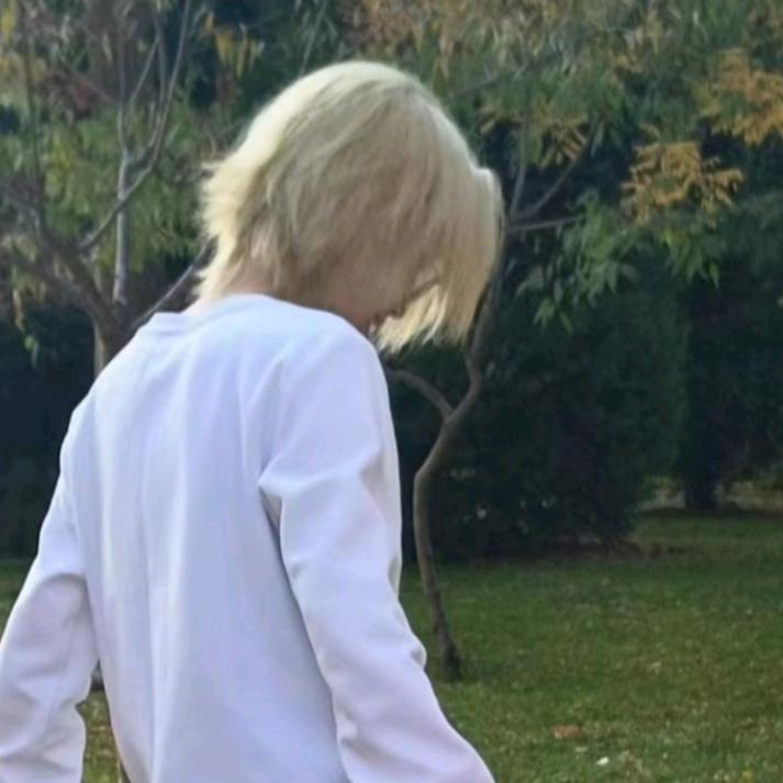 重生之铝铜归来