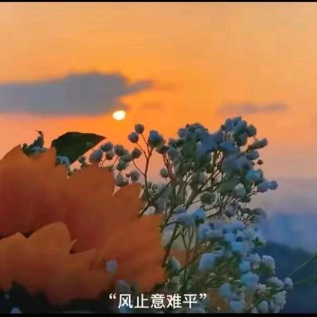 星辰万里