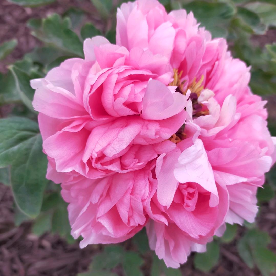 地铁,桥梁混凝土切割,拆除